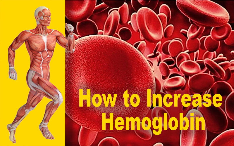 How to Increase Hemoglobin...