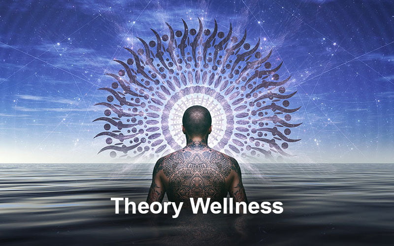 Theory Wellness: Exploring the Path to Wellbeing